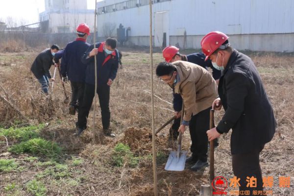 微信圖片_20200313150318 微信圖片_20200313150318